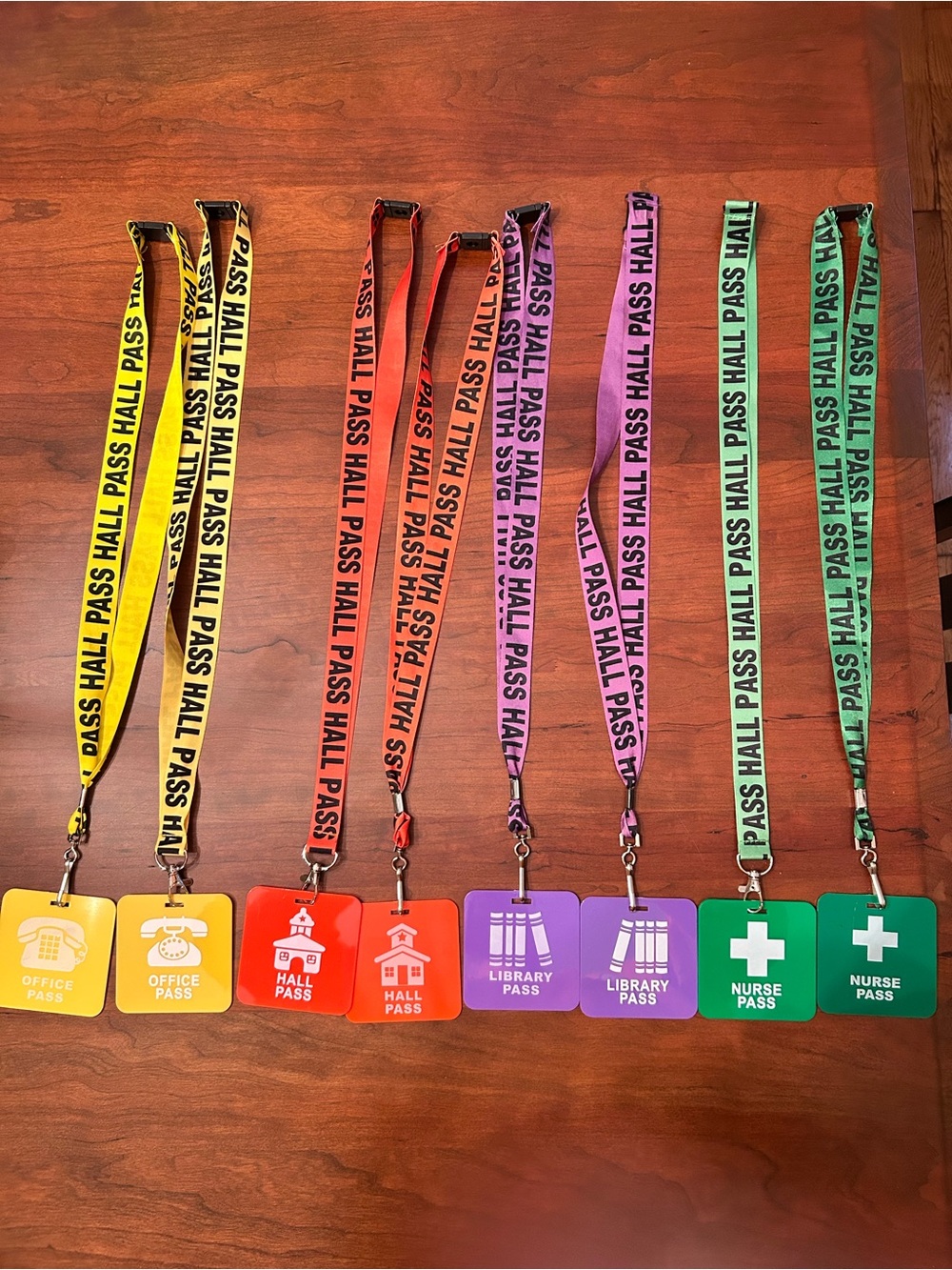 School Lanyards and School Passes (8)